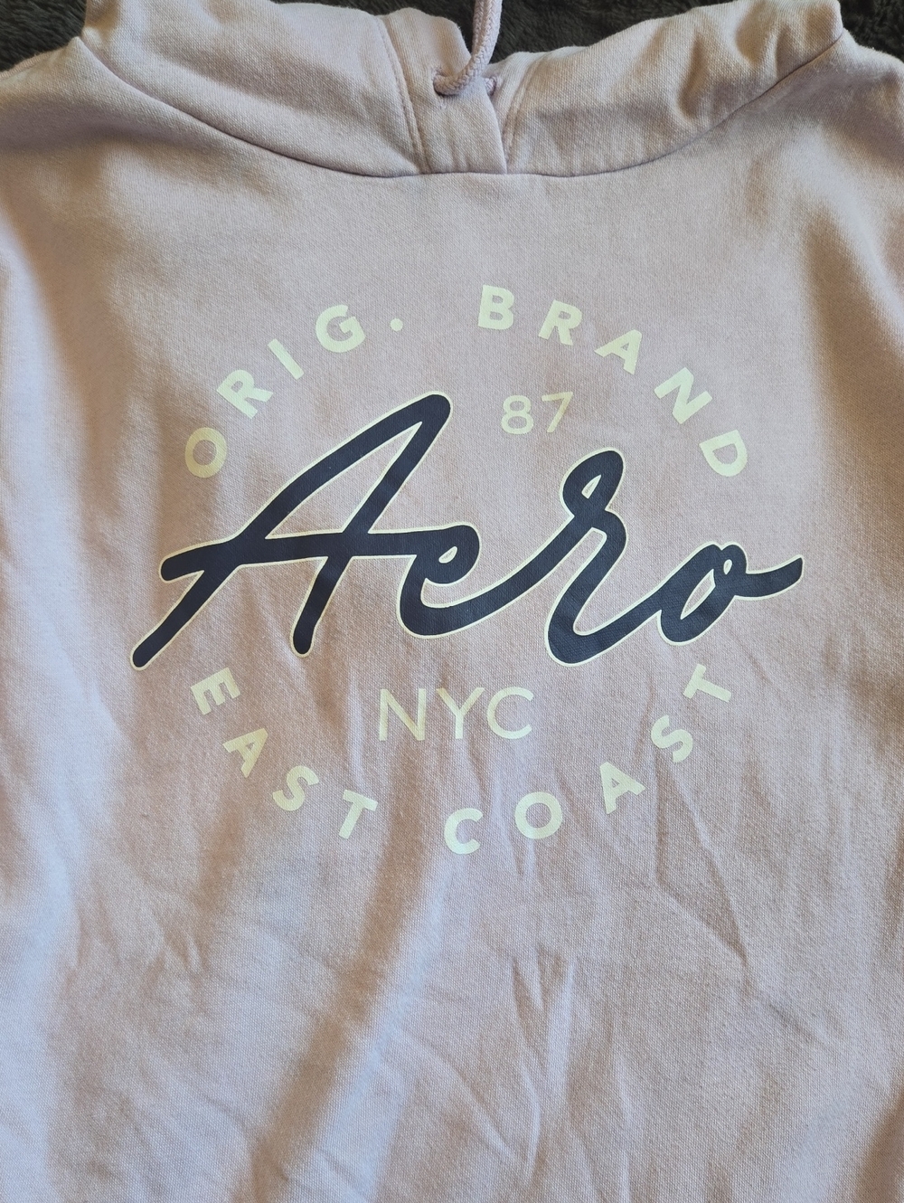 Aero Logo Hoodie -